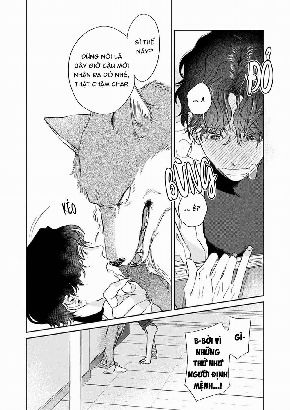 Chìm Đắm Trong Tình Yêu Mãnh Liệt Với Anh Chàng Người Sói 2 trang 16