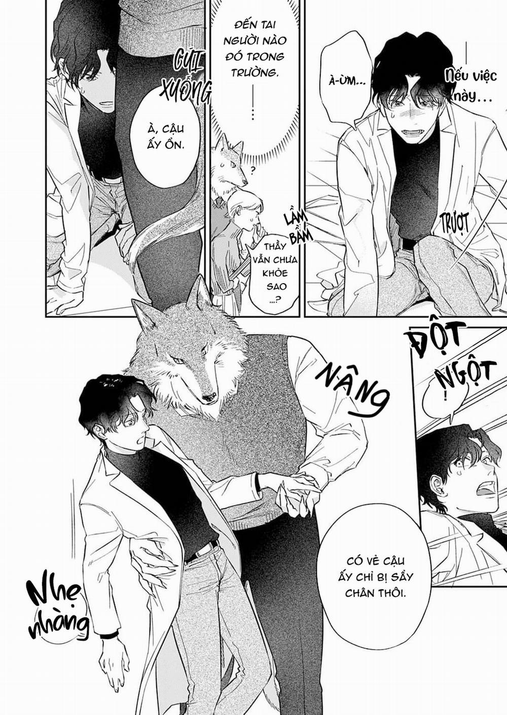 Chìm Đắm Trong Tình Yêu Mãnh Liệt Với Anh Chàng Người Sói 2 trang 4