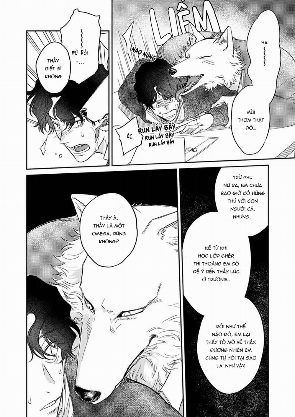 Chìm Đắm Trong Tình Yêu Mãnh Liệt Với Anh Chàng Người Sói 6 trang 2
