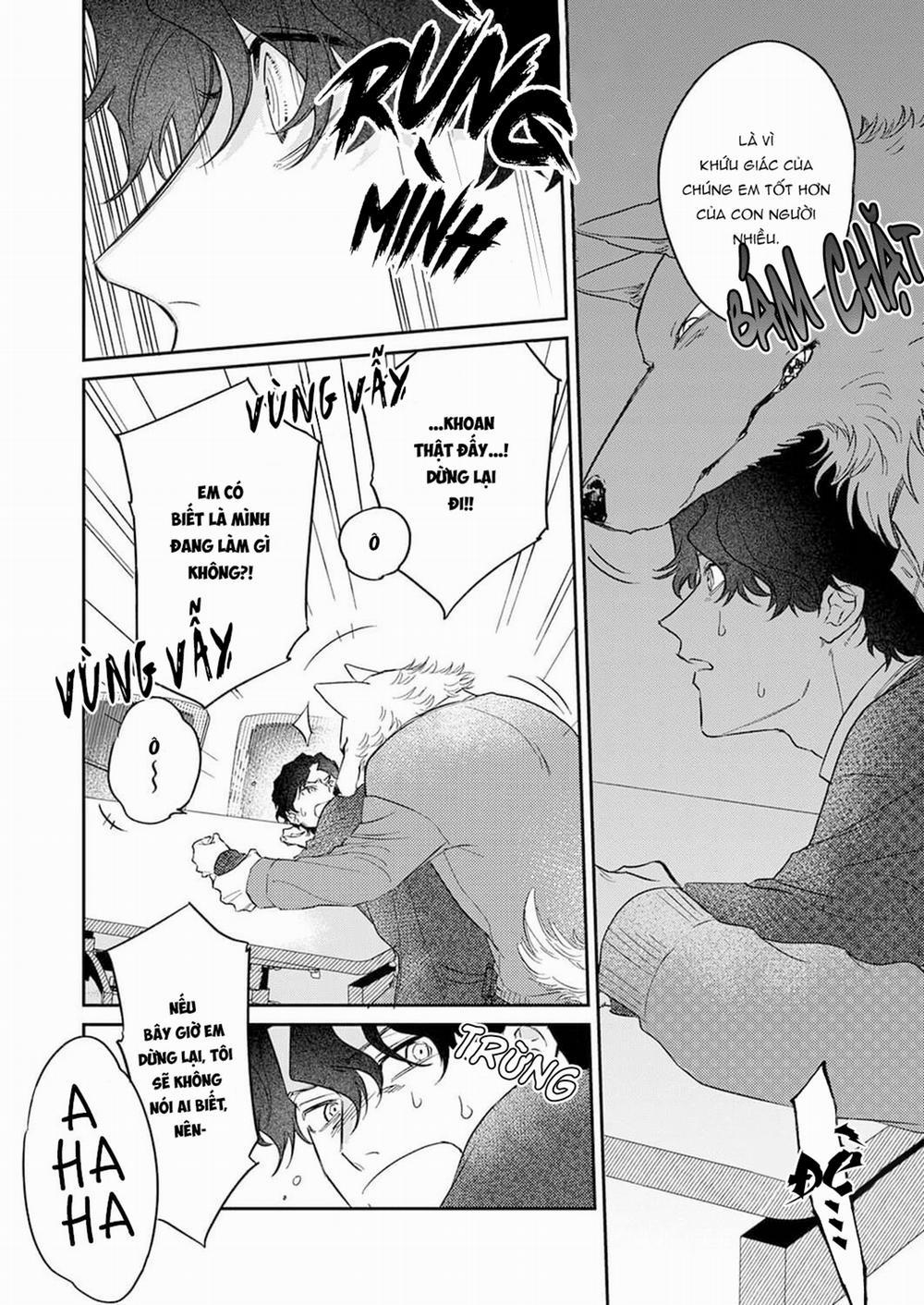 Chìm Đắm Trong Tình Yêu Mãnh Liệt Với Anh Chàng Người Sói 6 trang 4
