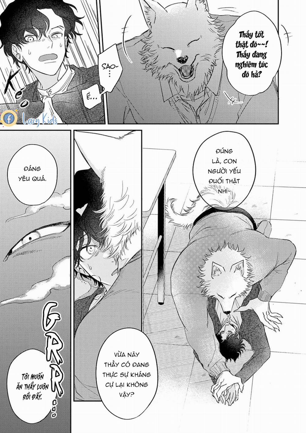 Chìm Đắm Trong Tình Yêu Mãnh Liệt Với Anh Chàng Người Sói 6 trang 5