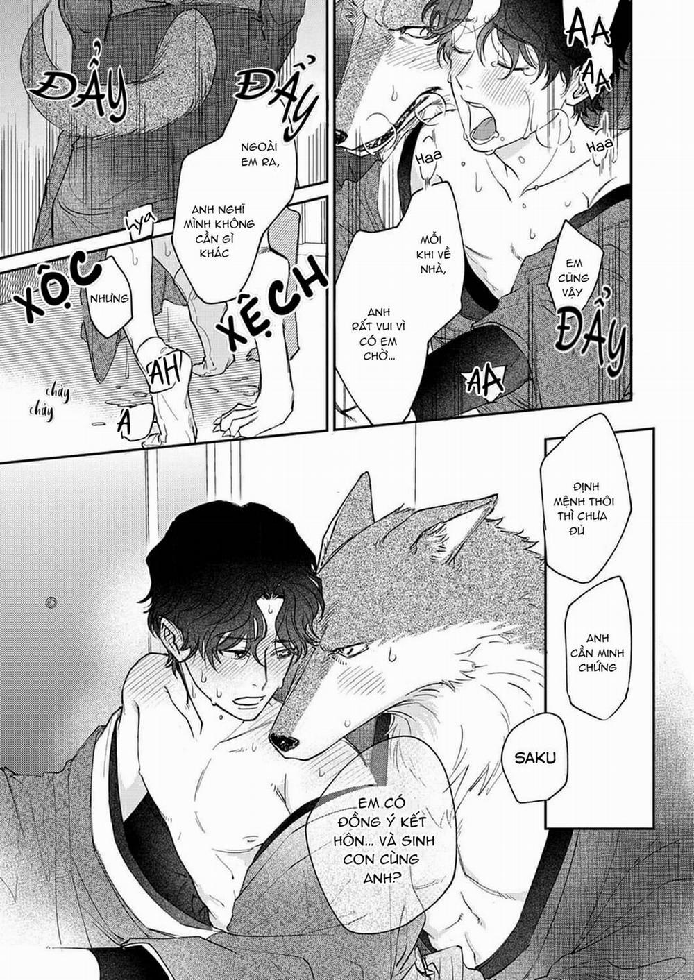 Chìm Đắm Trong Tình Yêu Mãnh Liệt Với Anh Chàng Người Sói 7 trang 21