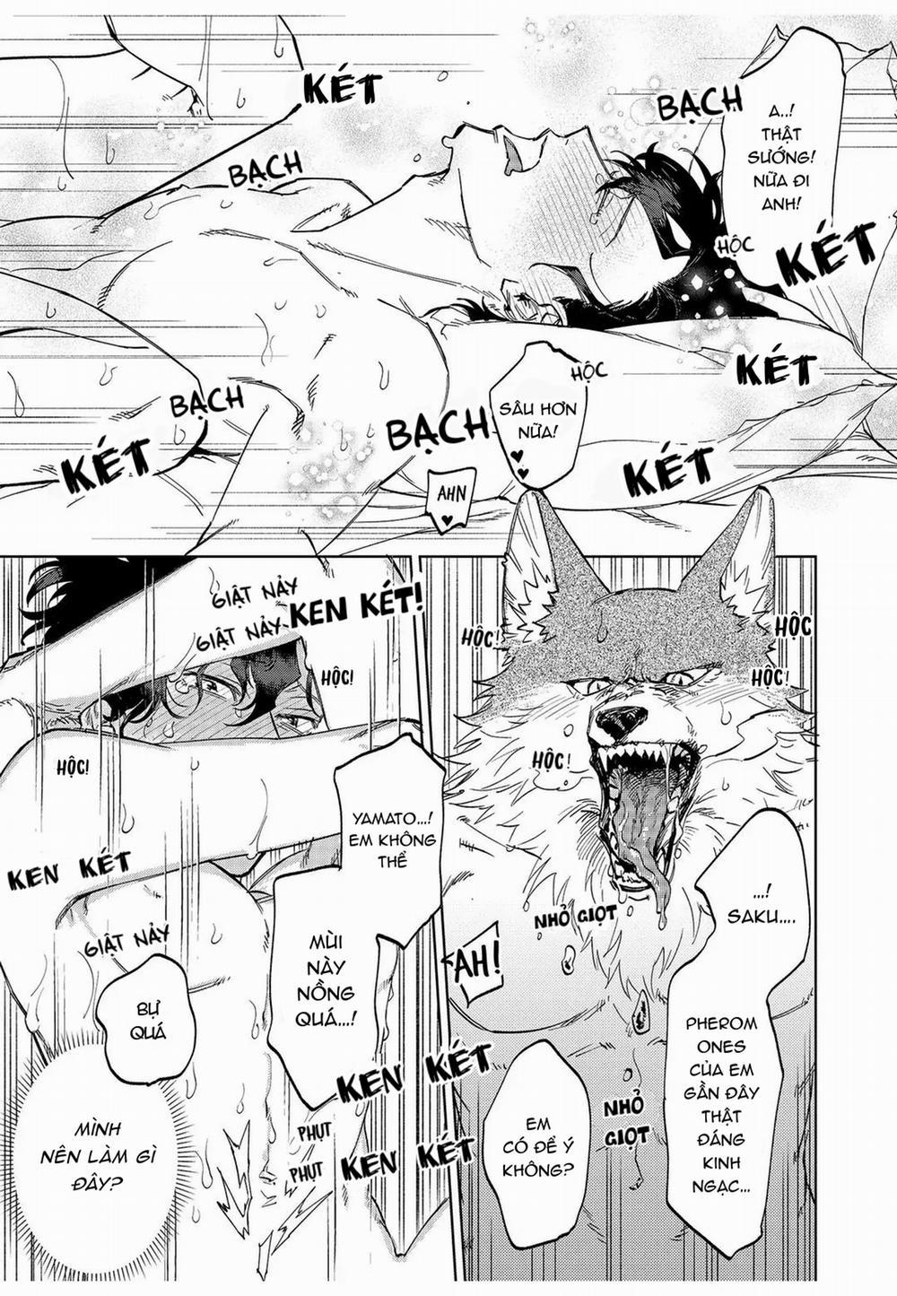 Chìm Đắm Trong Tình Yêu Mãnh Liệt Với Anh Chàng Người Sói 9 trang 18