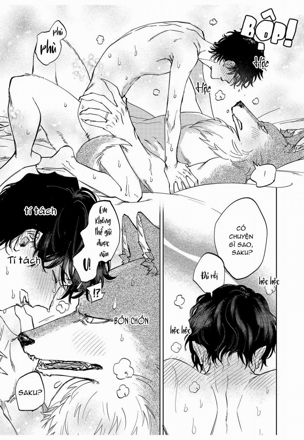 Chìm Đắm Trong Tình Yêu Mãnh Liệt Với Anh Chàng Người Sói 9 trang 22