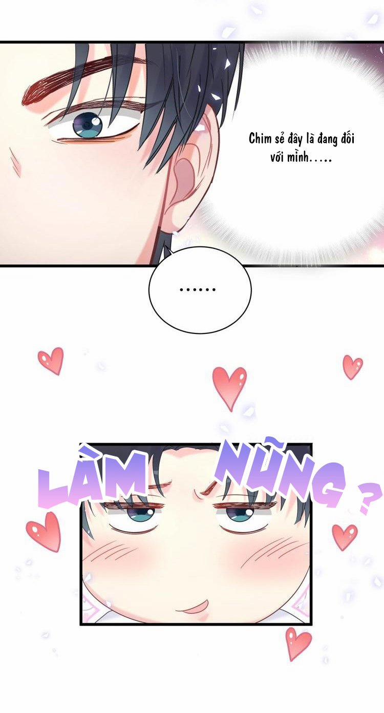 Chim Hoàng Yến Bị Chính Mình Trói Buộc 16 trang 34