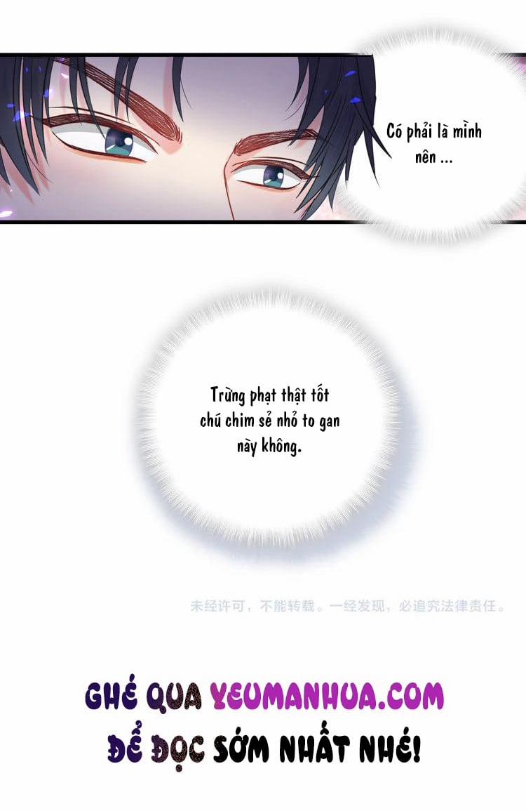 Chim Hoàng Yến Bị Chính Mình Trói Buộc 16 trang 41