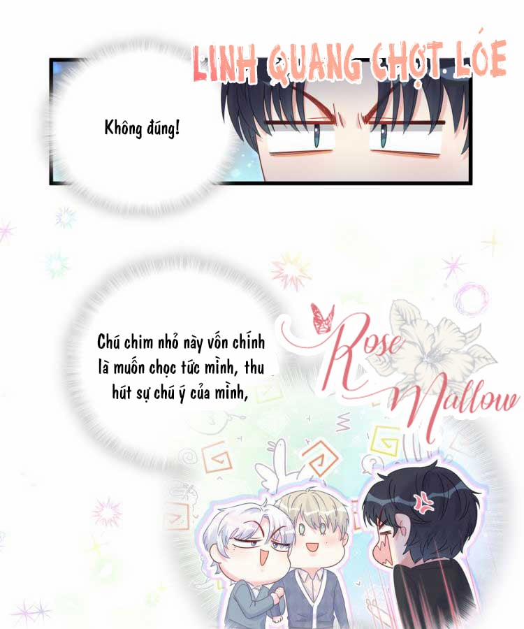 Chim Hoàng Yến Bị Chính Mình Trói Buộc 25 trang 9