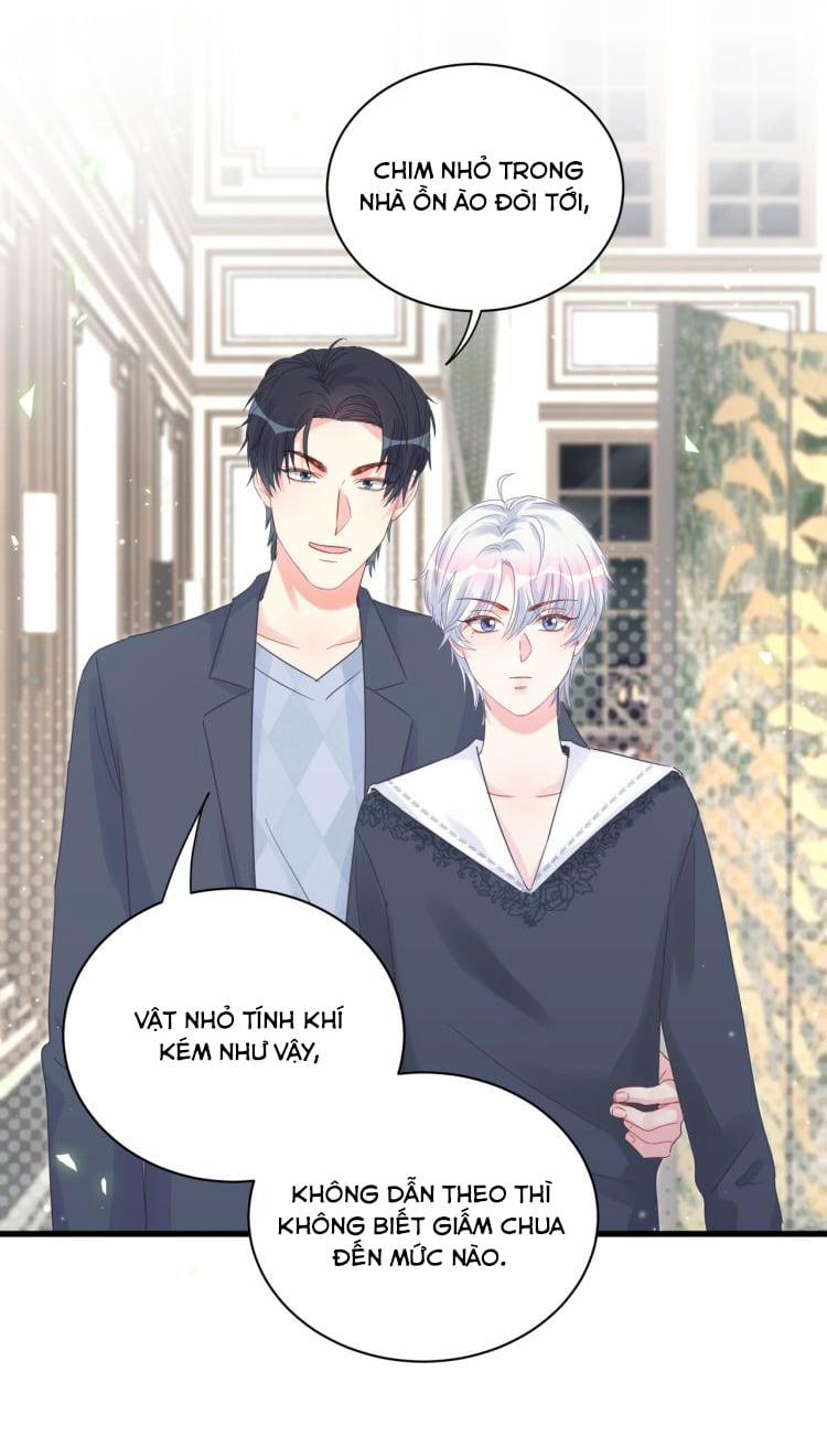Chim Hoàng Yến Bị Chính Mình Trói Buộc 36 trang 11