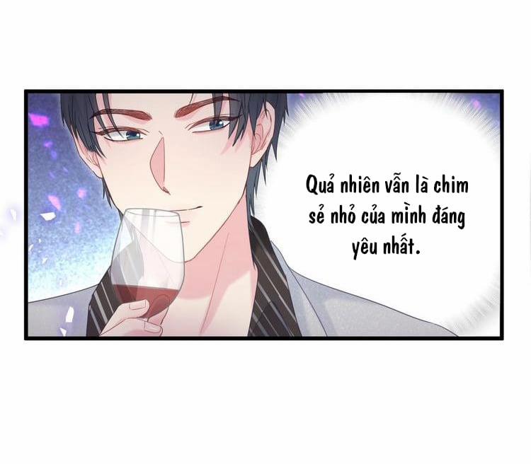 Chim Hoàng Yến Bị Chính Mình Trói Buộc 4 trang 31