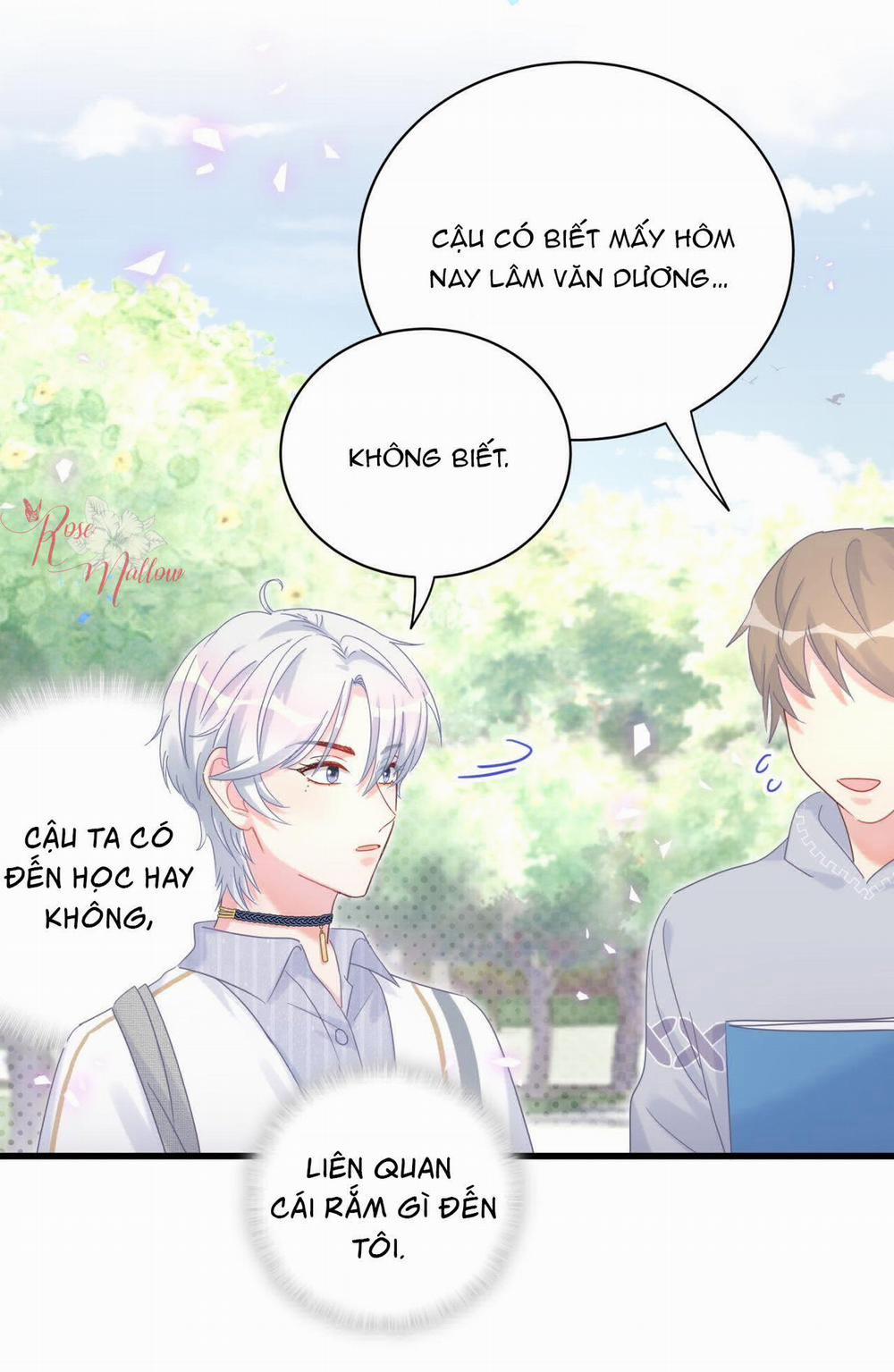 Chim Hoàng Yến Bị Chính Mình Trói Buộc 70 trang 25