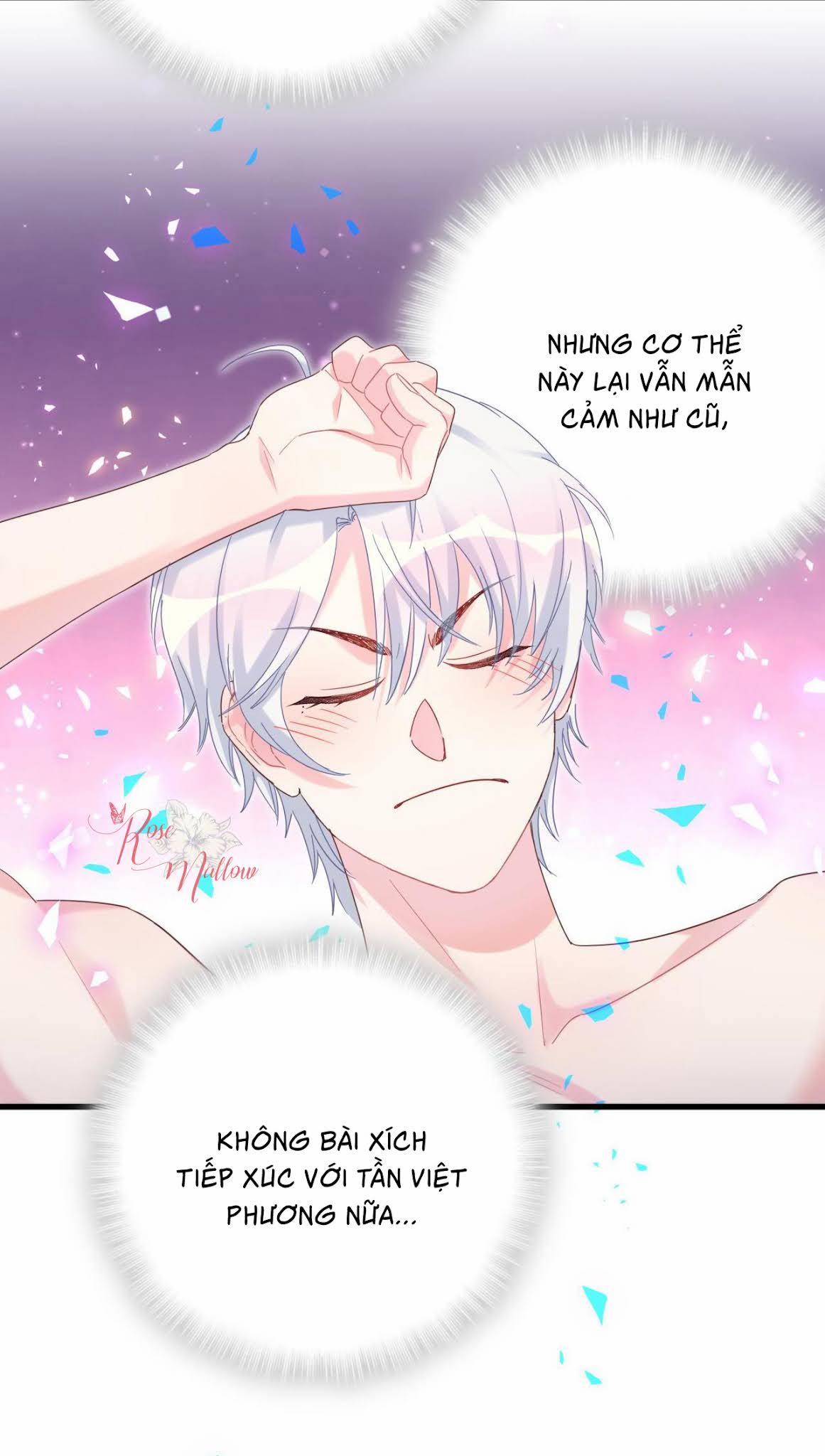 Chim Hoàng Yến Bị Chính Mình Trói Buộc 71 trang 31