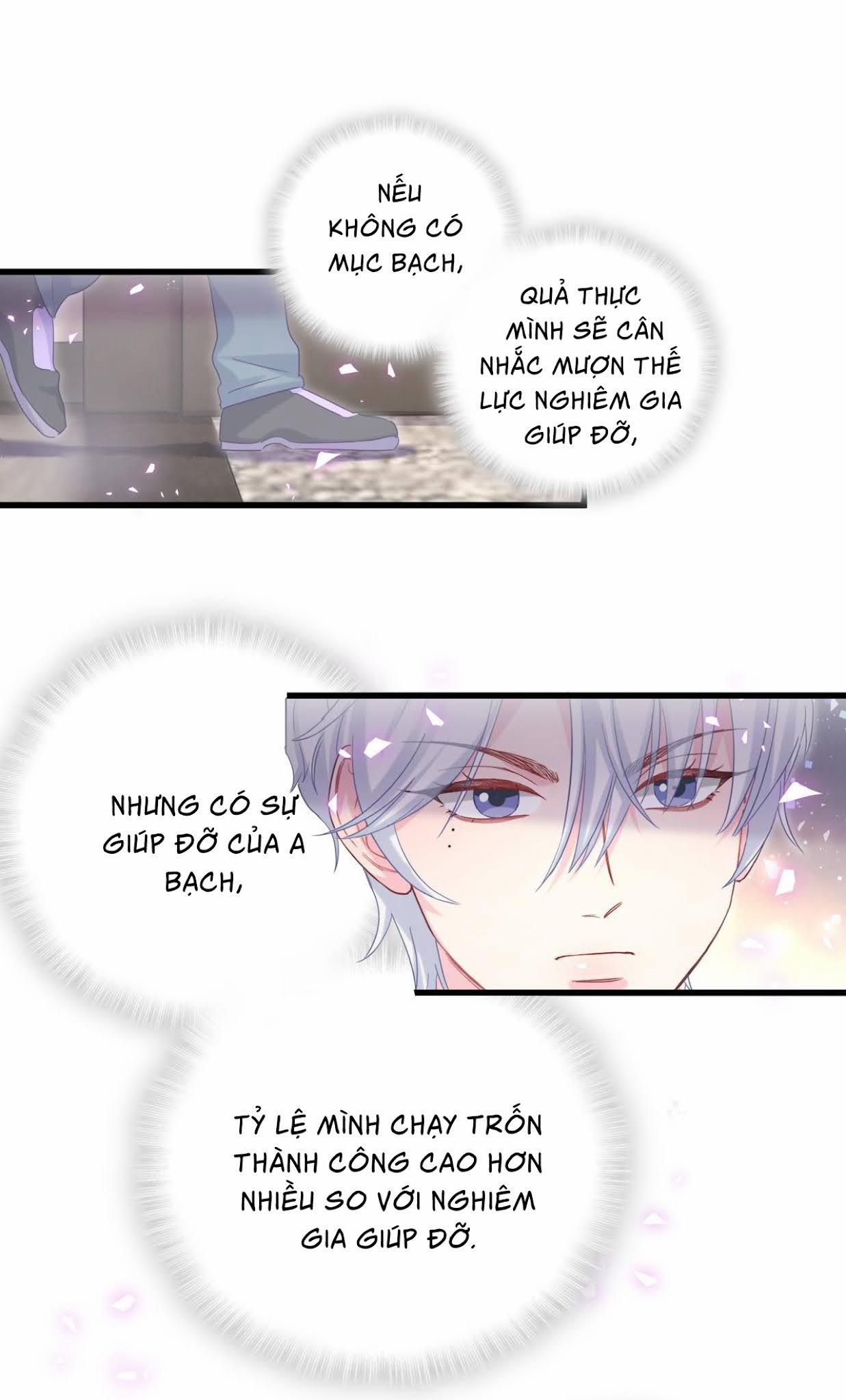 Chim Hoàng Yến Bị Chính Mình Trói Buộc 72 trang 24