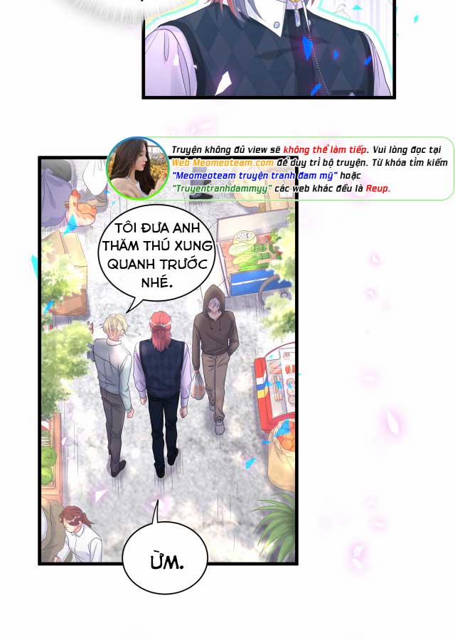 Chim Hoàng Yến Bị Chính Mình Trói Buộc 93 trang 52