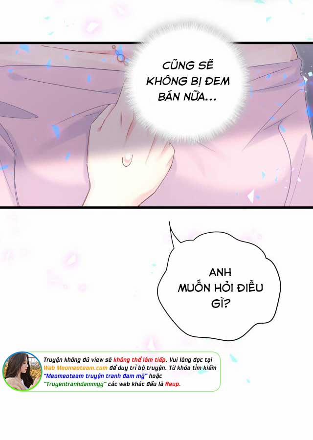 Chim Hoàng Yến Bị Chính Mình Trói Buộc 95 trang 38