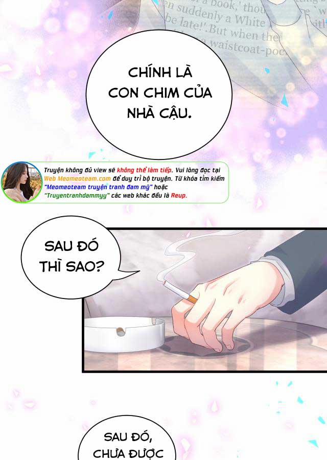 Chim Hoàng Yến Bị Chính Mình Trói Buộc 95 trang 4