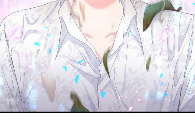 Chim Hoàng Yến Bị Chính Mình Trói Buộc 97 trang 36