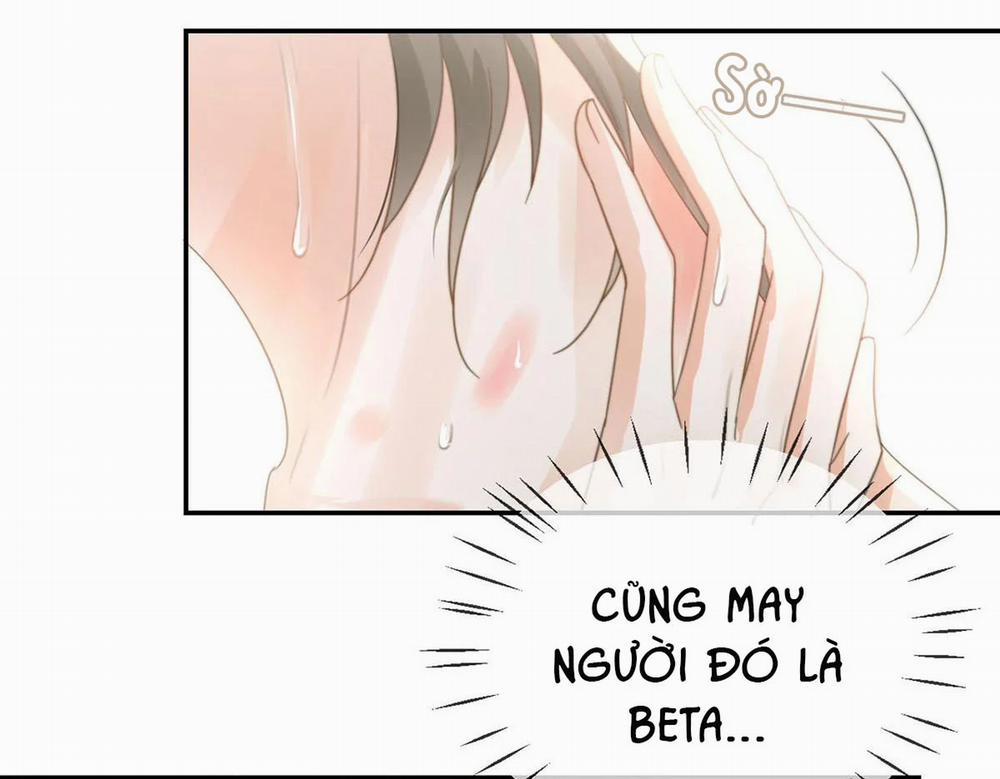 Chìm Trong Men Say 5 trang 33