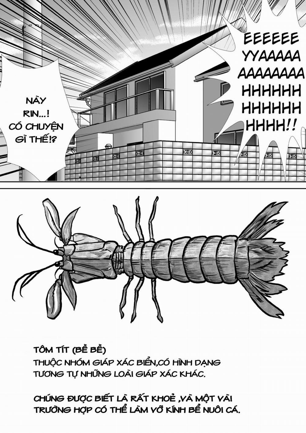 Chitsu Hakai-Kei Joshi 1.1 trang 17