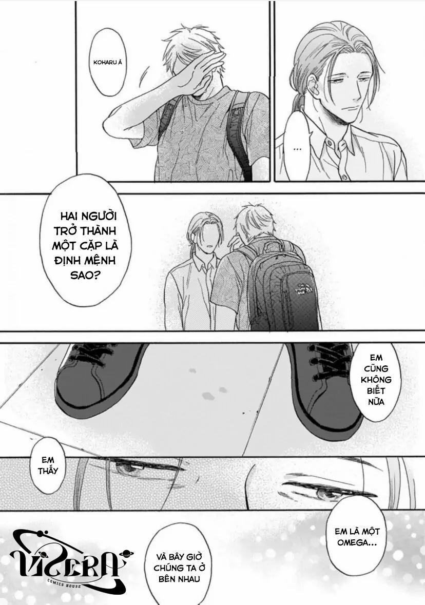 Cho Dù Không Là Định Mệnh 3 trang 18
