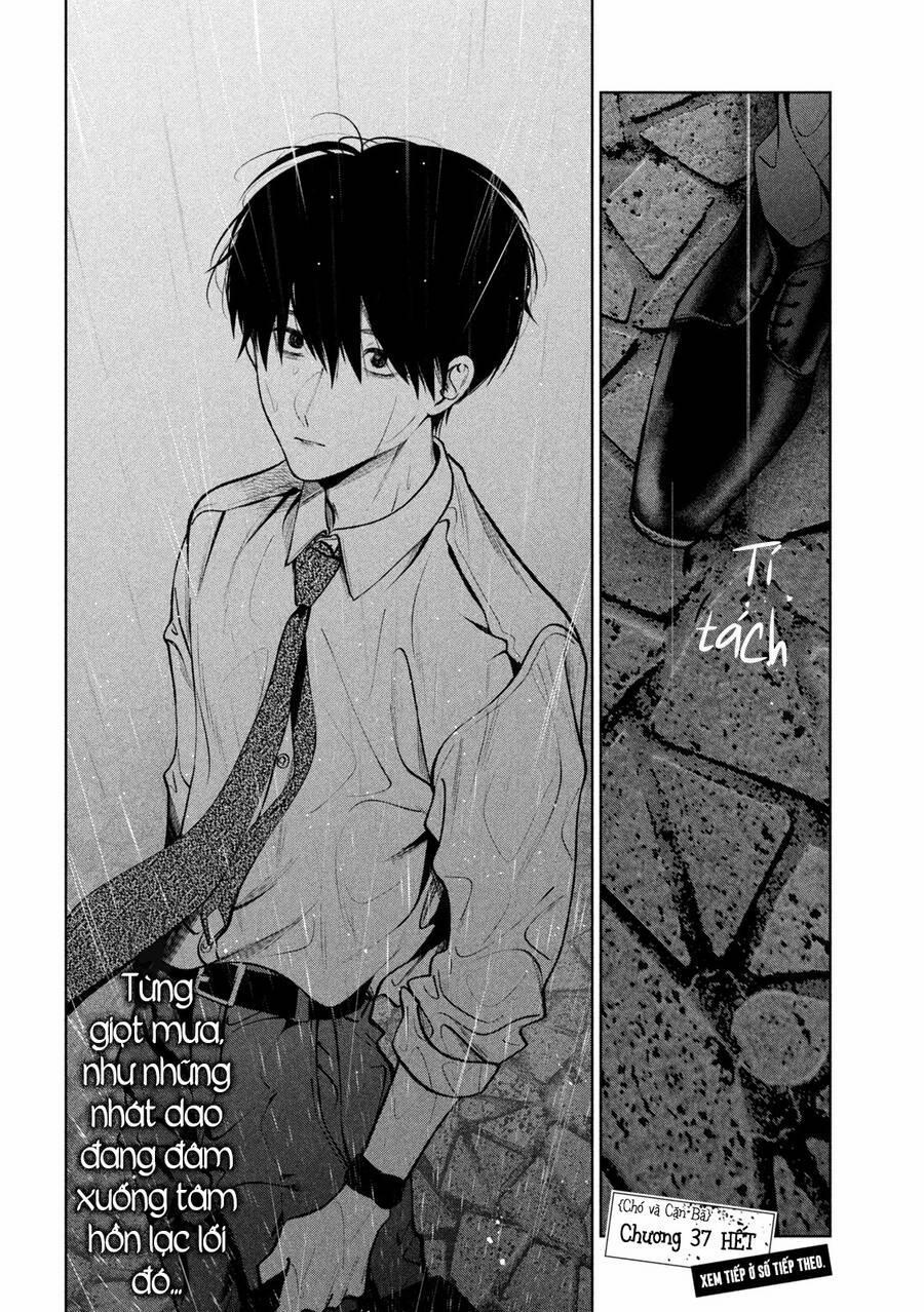 Chó Và Cặn Bã 37 trang 17