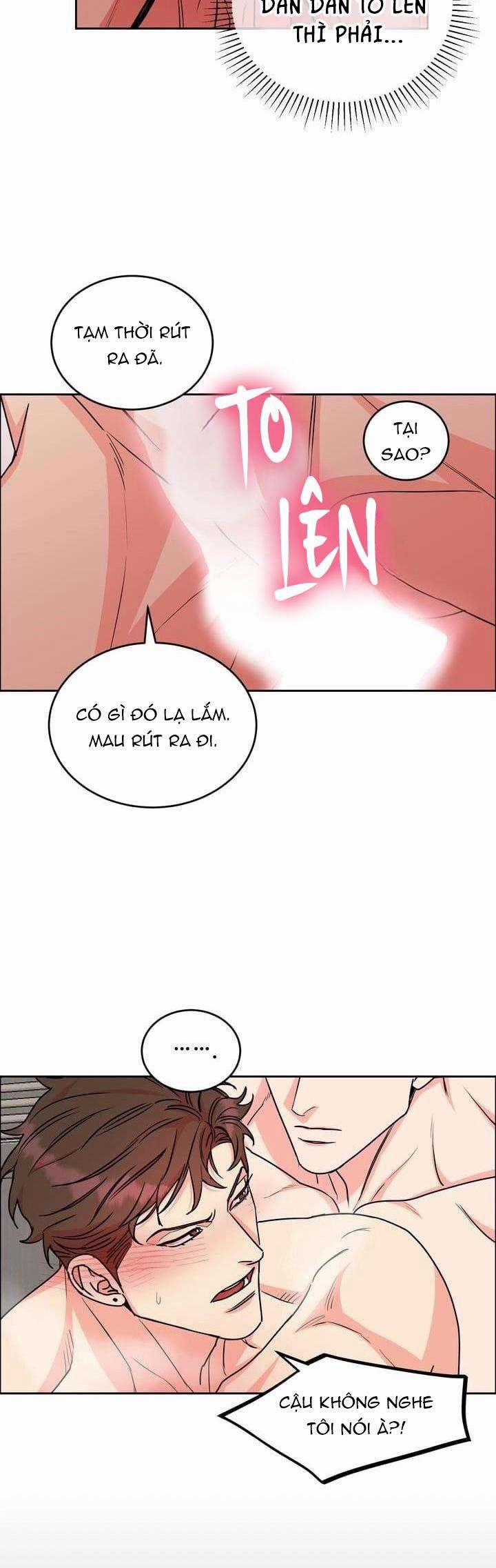 Chó Và Chim 0 END SS1 (Thắt nút) trang 22