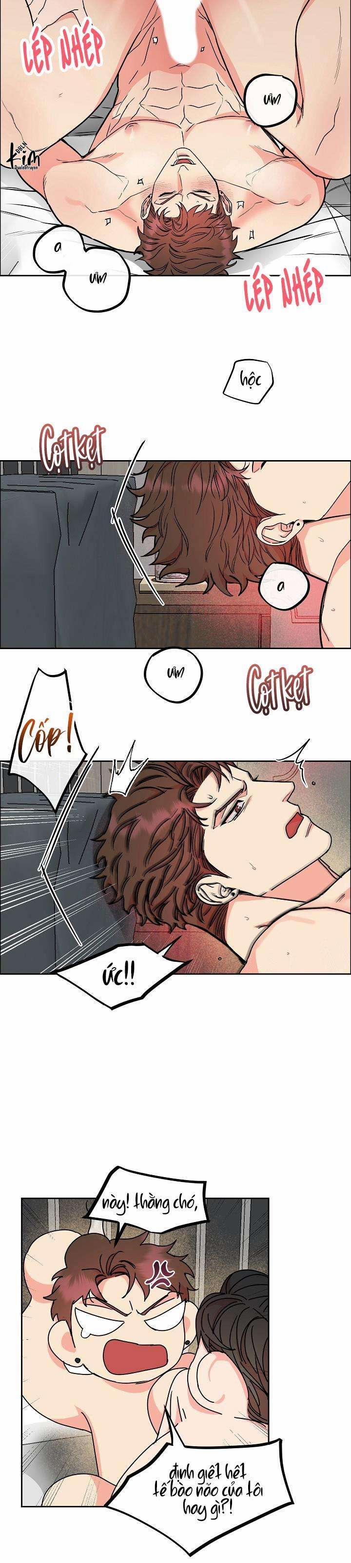 Chó Và Chim 0 H+++ trang 11