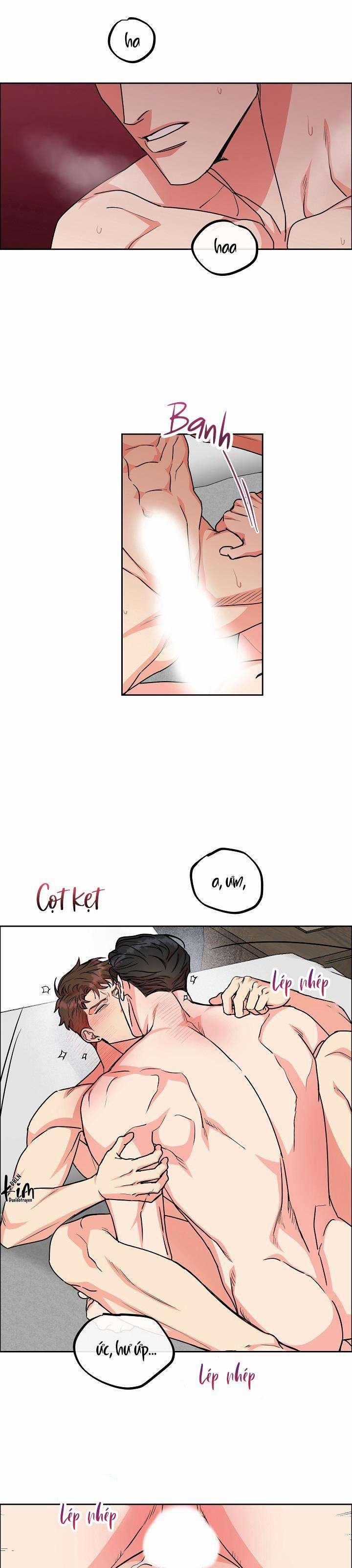 Chó Và Chim 0 H+++ trang 12