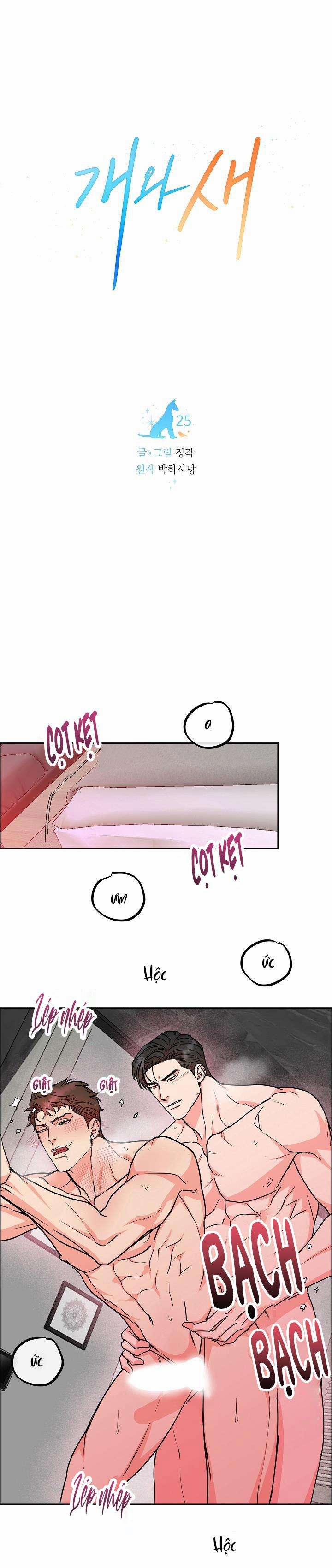 Chó Và Chim 0 H+++ trang 18