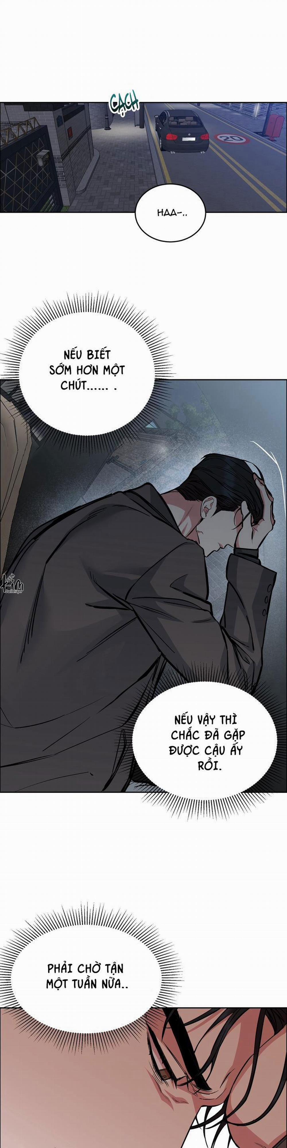 Chó Và Chim 35 trang 19