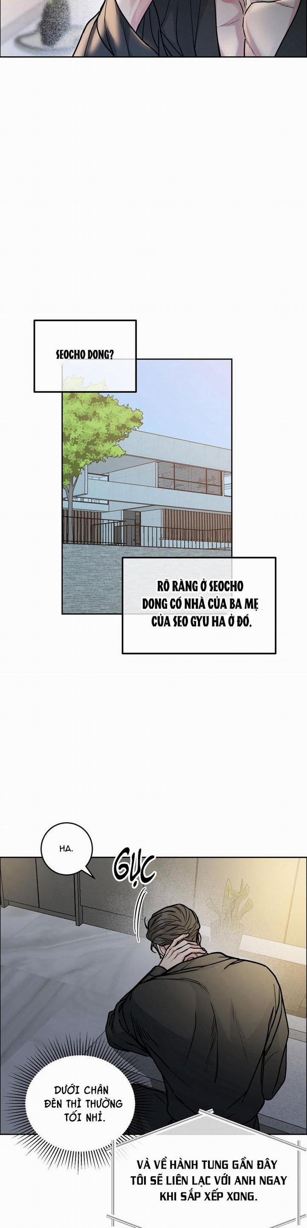 Chó Và Chim 35 trang 7