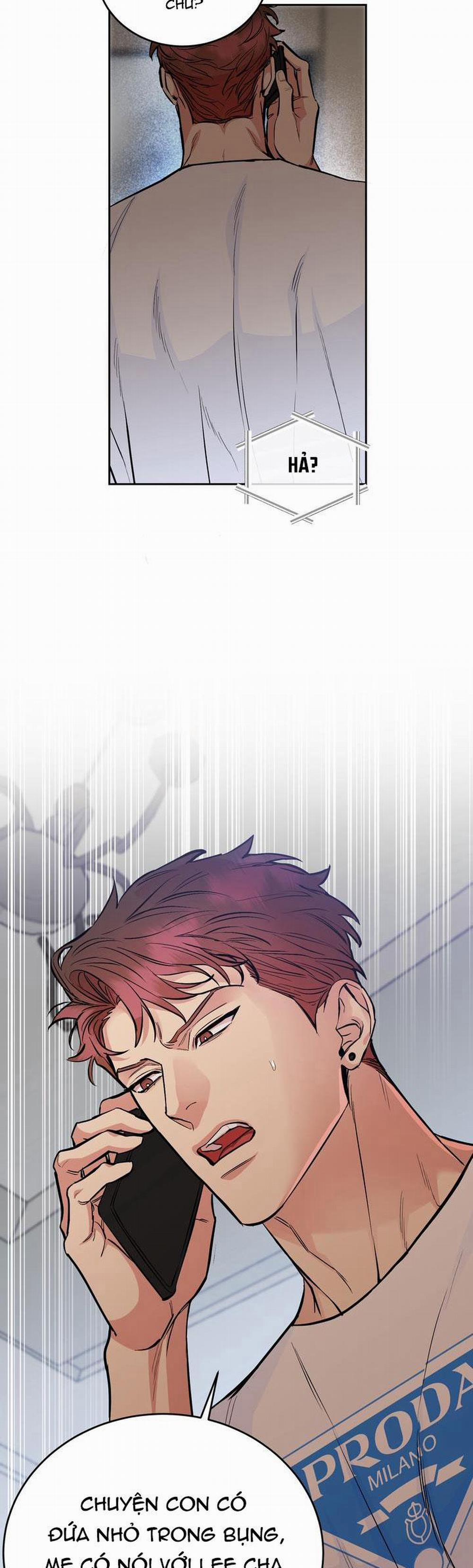 Chó Và Chim 36 trang 14