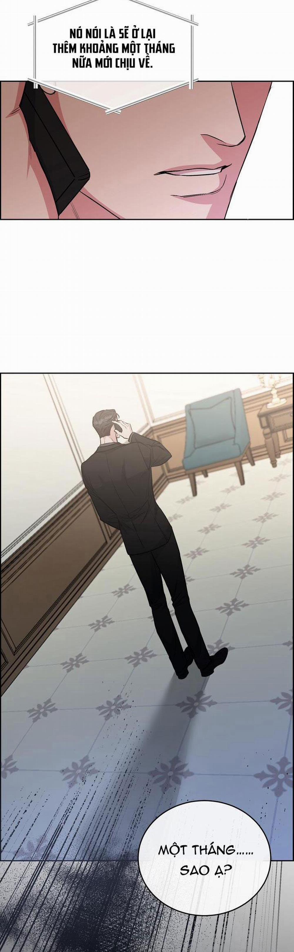 Chó Và Chim 36 trang 28