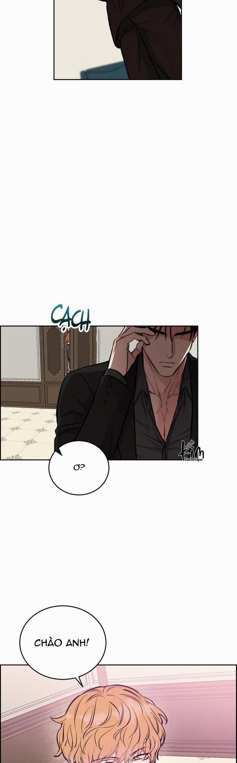 Chó Và Chim 36 trang 31