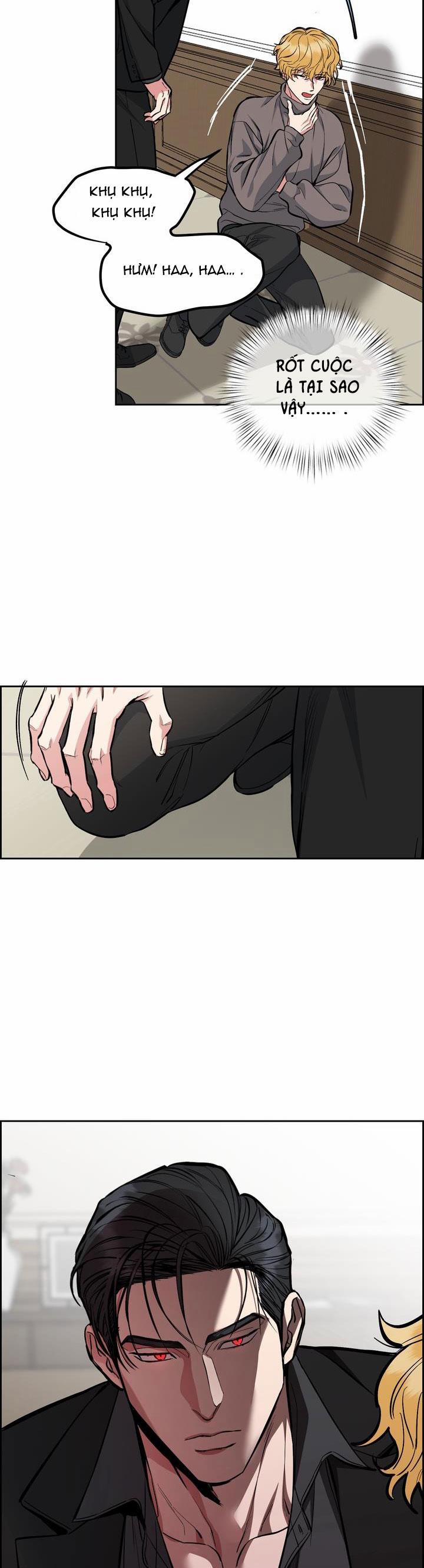 Chó Và Chim 37 trang 11