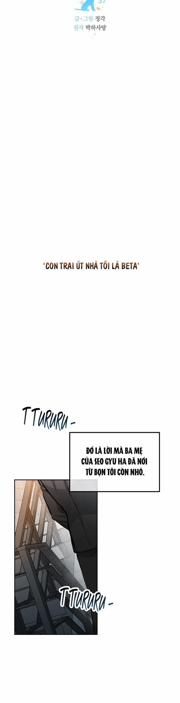 Chó Và Chim 37 trang 19