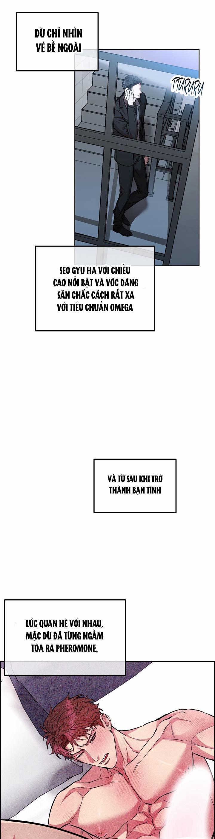 Chó Và Chim 37 trang 20