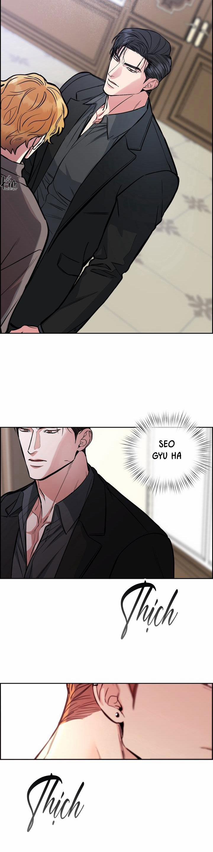 Chó Và Chim 37 trang 3