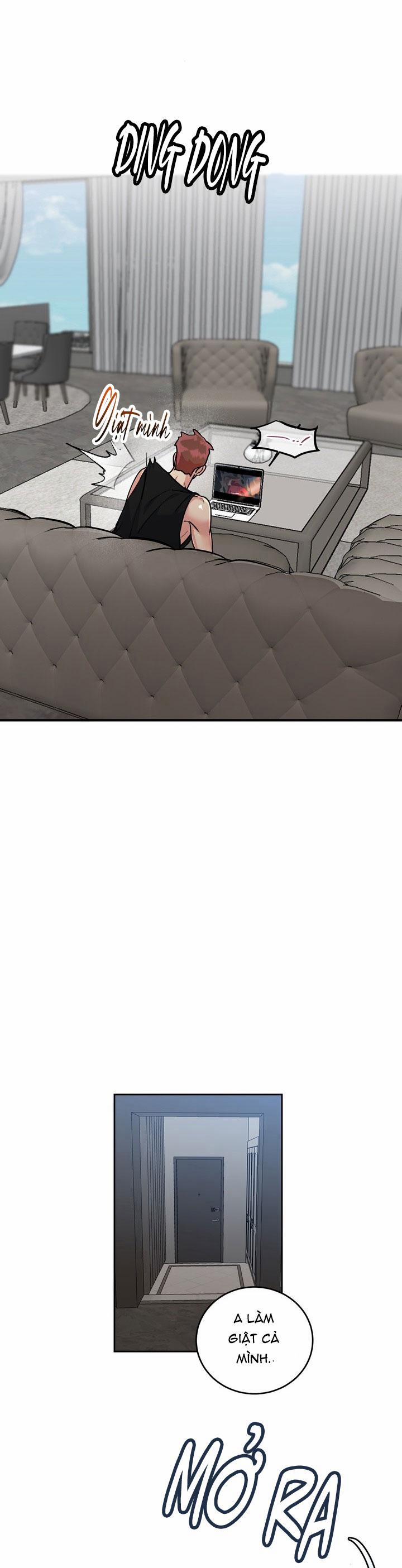 Chó Và Chim 38 trang 15