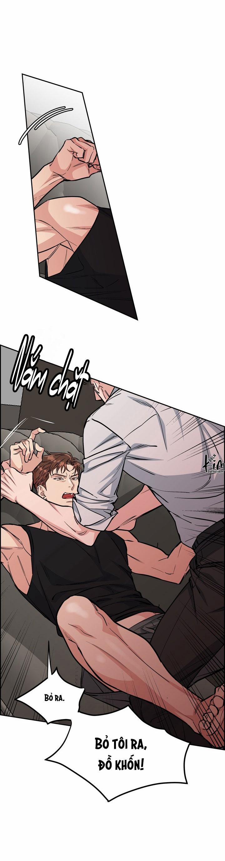 Chó Và Chim 39 trang 12