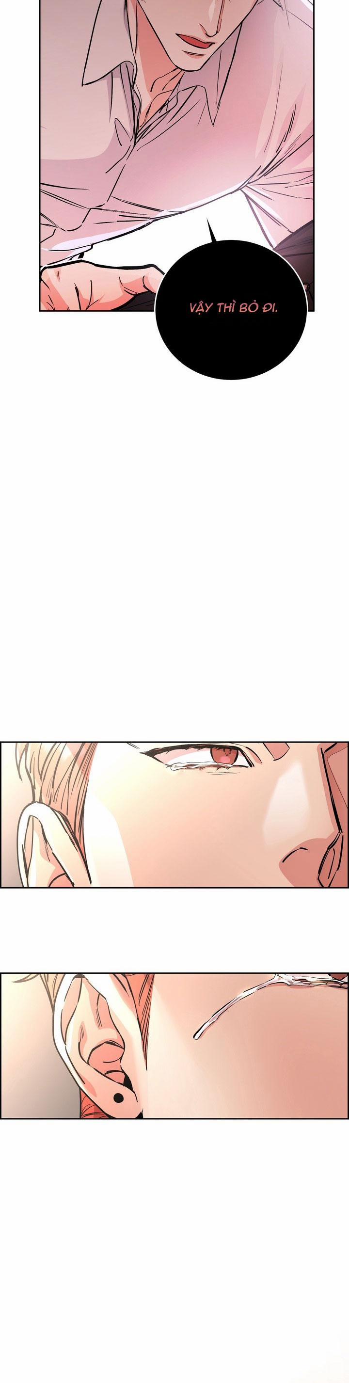 Chó Và Chim 39 trang 16