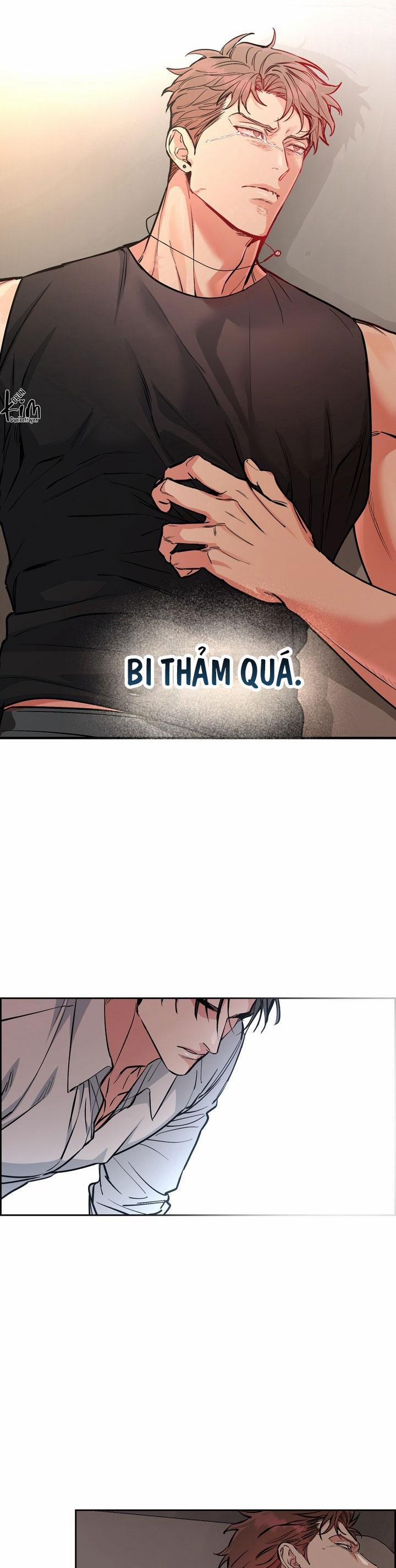 Chó Và Chim 39 trang 17