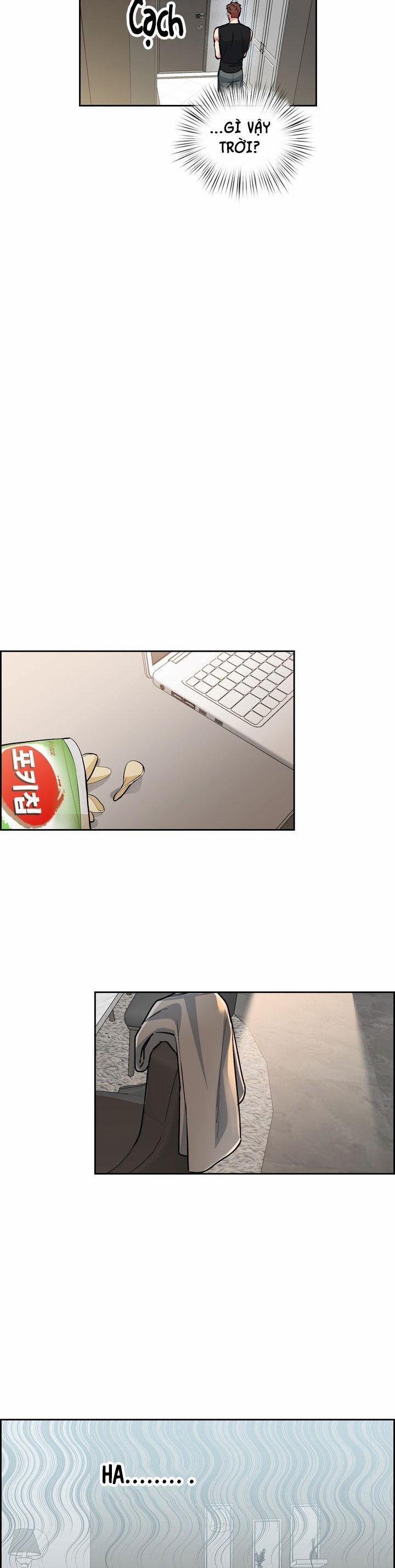 Chó Và Chim 40 trang 13