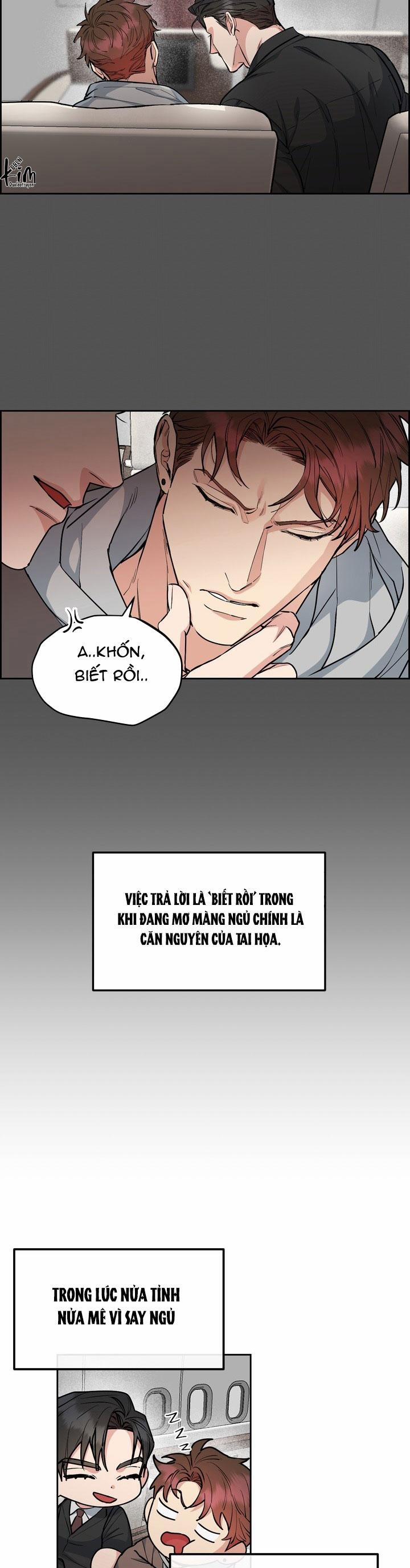 Chó Và Chim 40 trang 22