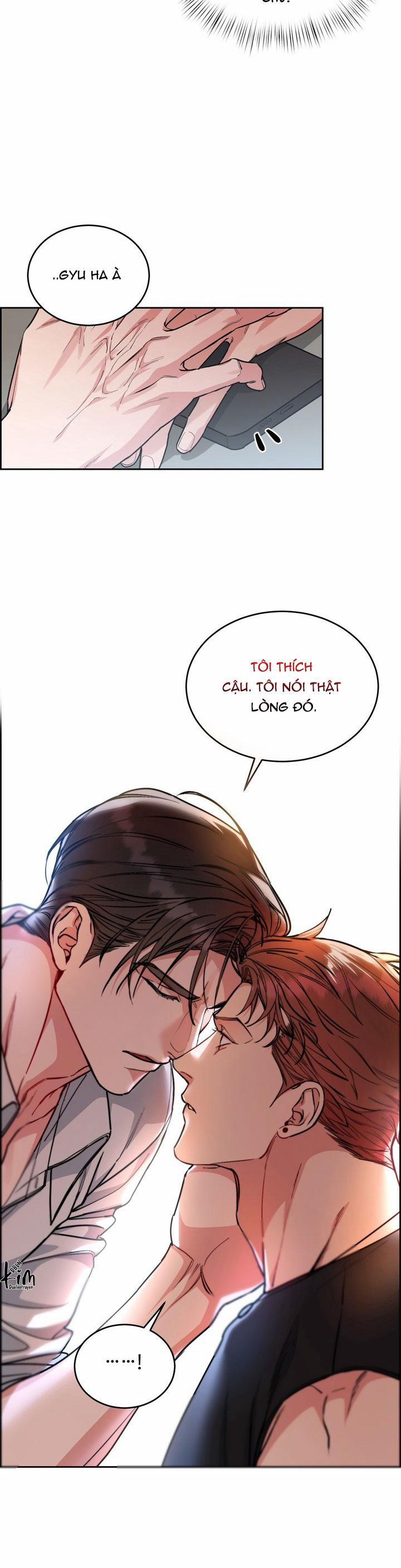 Chó Và Chim 40 trang 4