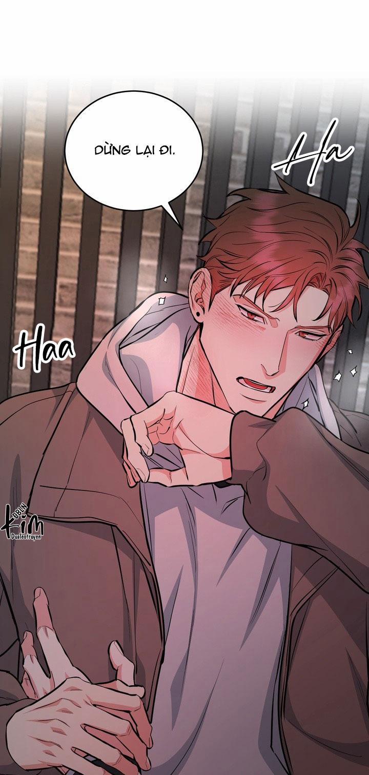 Chó Và Chim 41 trang 31