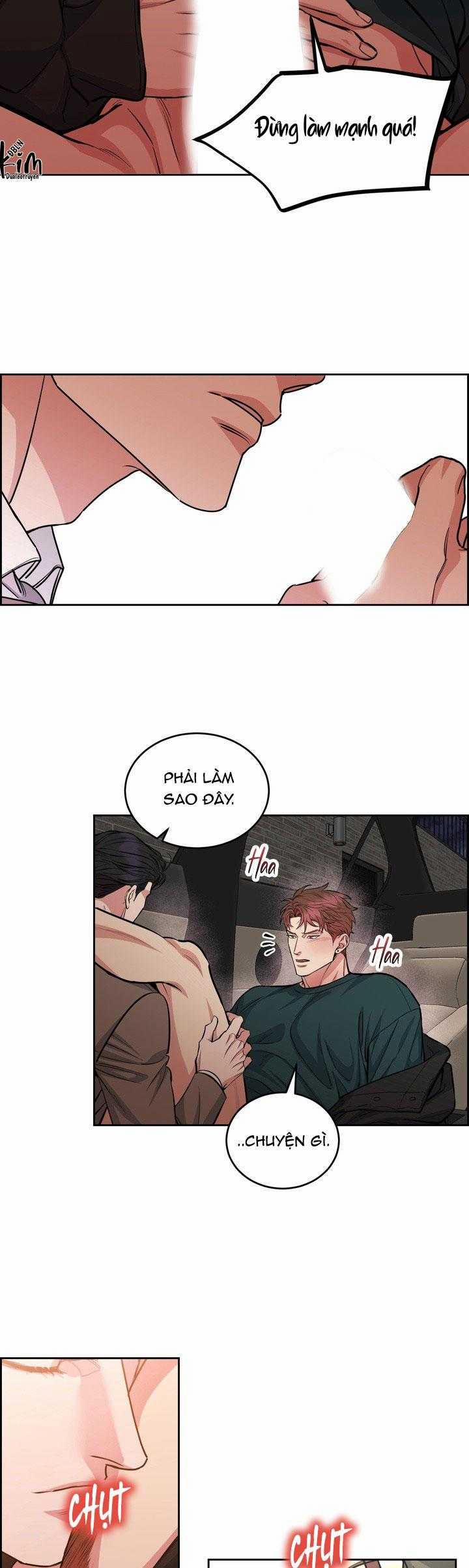 Chó Và Chim 43 trang 21