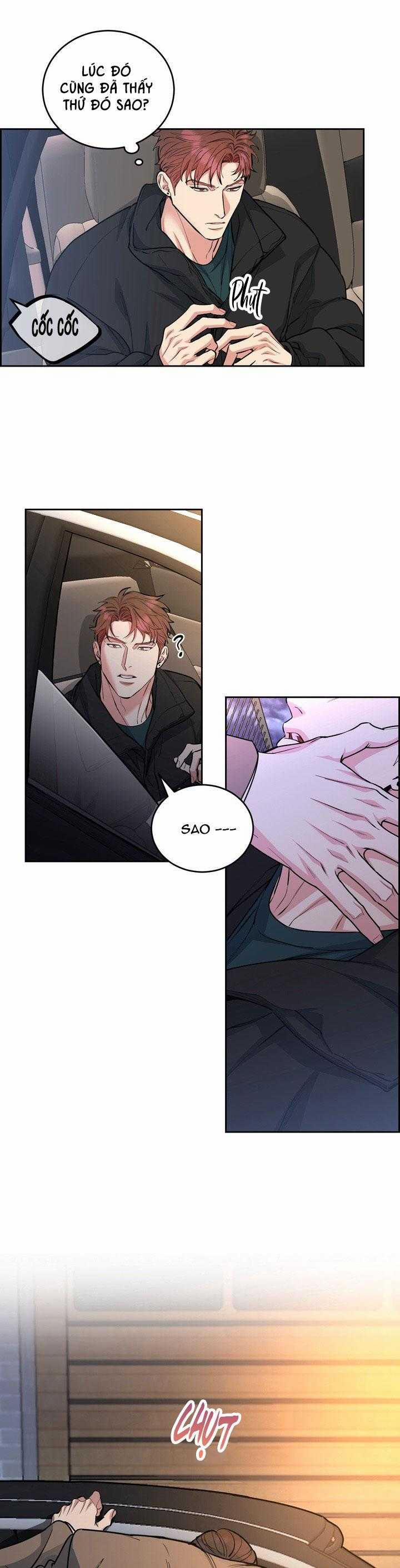 Chó Và Chim 44 trang 10