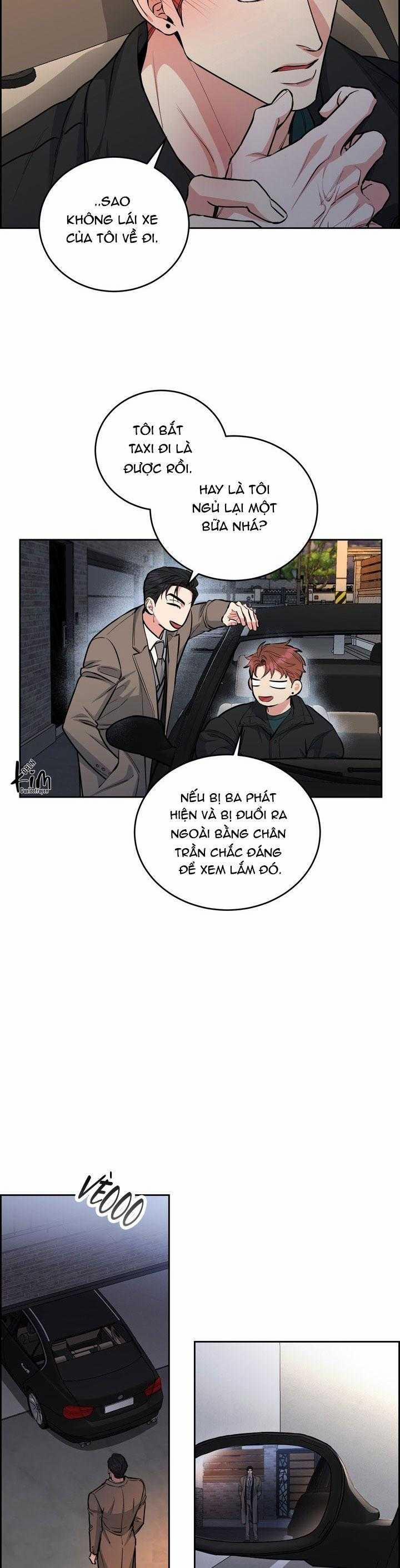 Chó Và Chim 44 trang 12