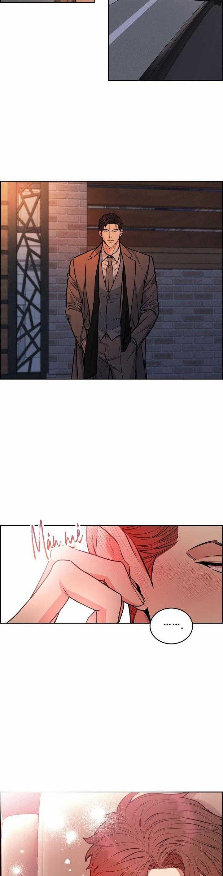 Chó Và Chim 44 trang 13