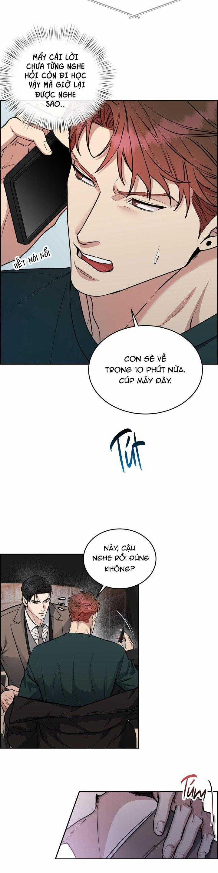 Chó Và Chim 44 trang 3